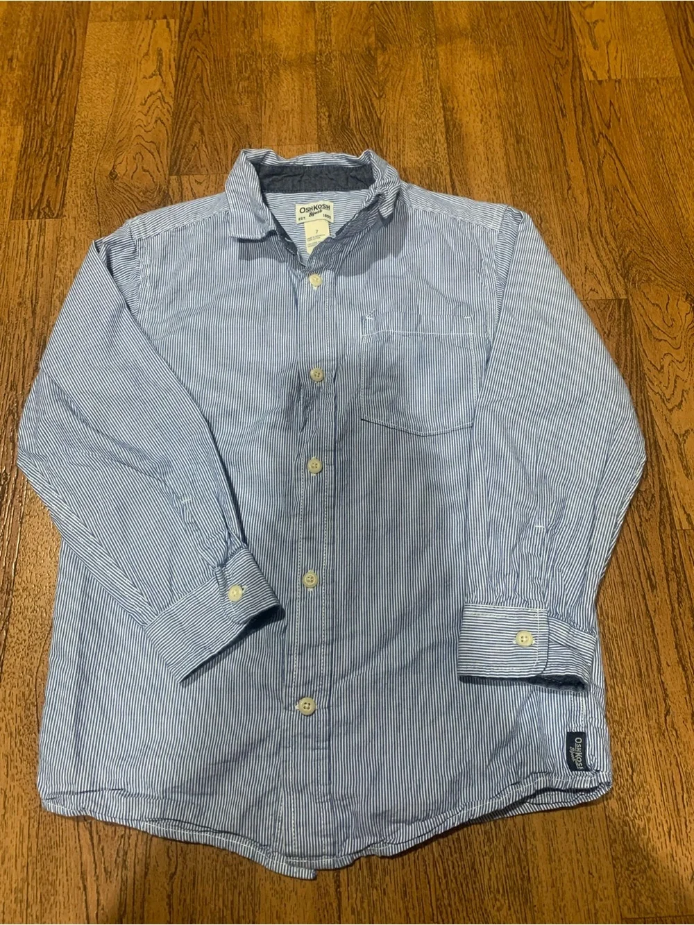 OshKosh B'gosh Blue and White Pinstripe Button-Up Shirt